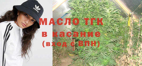 трава Магас