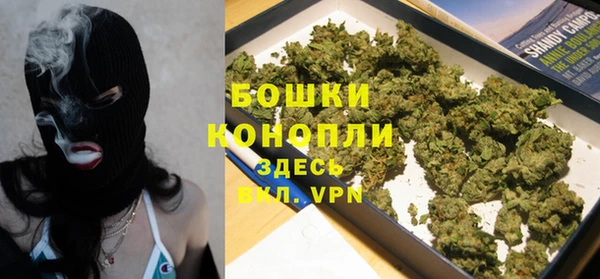 трава Магас