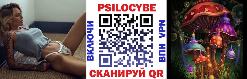 MEGA маркетплейс  Чита  Псилоцибиновые грибы Psilocybine cubensis 
