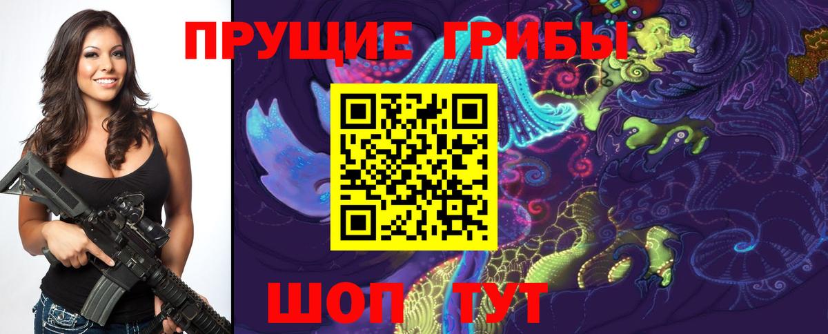 Чита  закладка  Псилоцибиновые грибы Psilocybine cubensis  Вход с VPN  Галлюциногенные грибы прущие грибы 